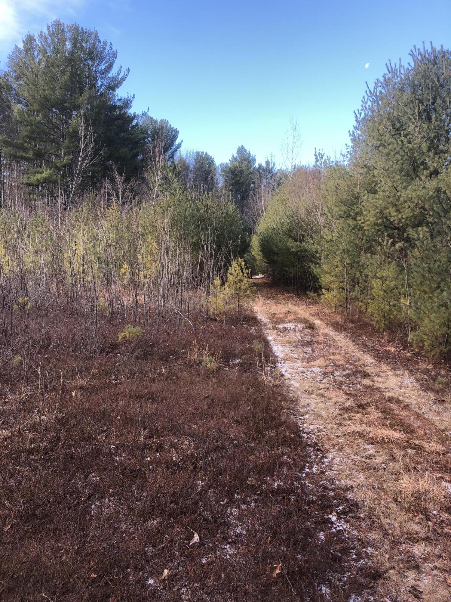 470 Knights Hill Road Harrison, ME 04040 - Photo 3 of 34 IMG_2577