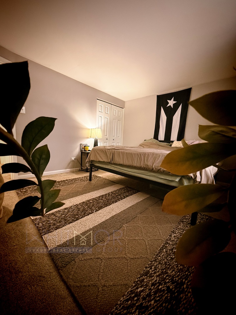 277 West Raye Drive Chicago Heights, IL 60411 - Photo 9 of 12