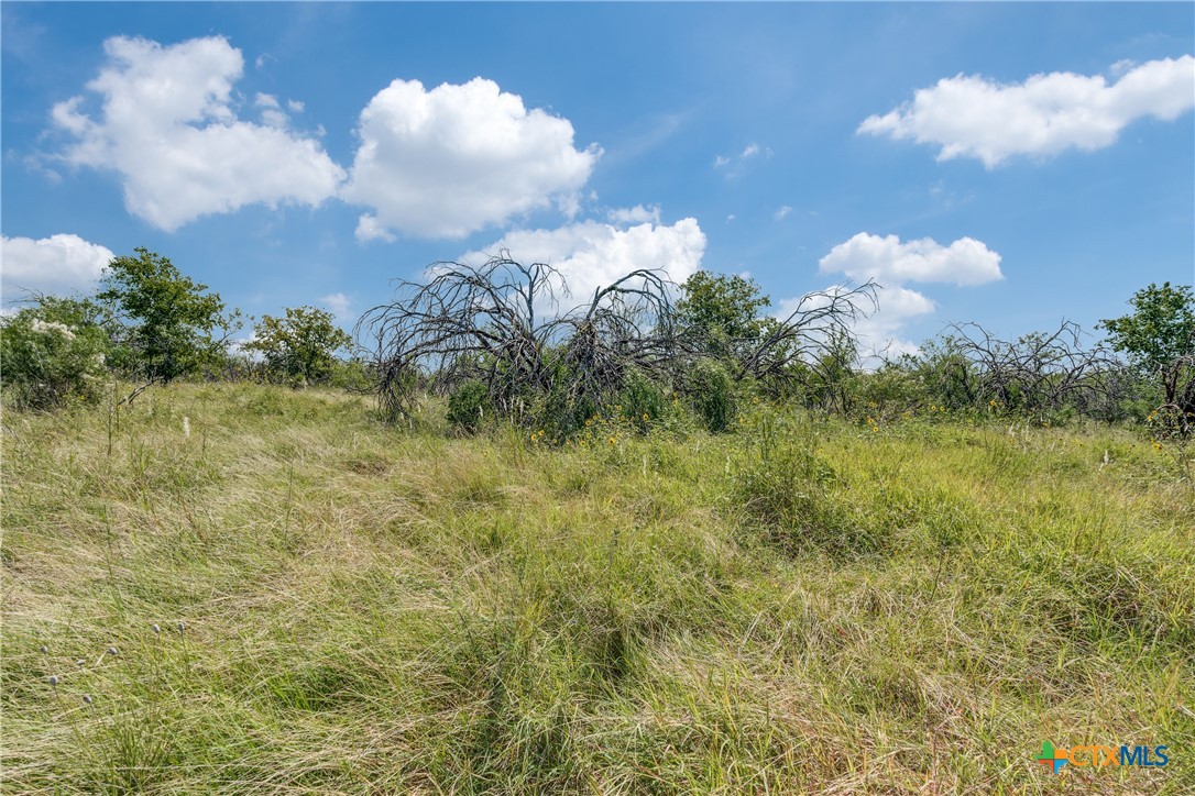 Tbd Koehler Road Marion, TX 78124 - Photo 1 of 1 Gallery Image 1