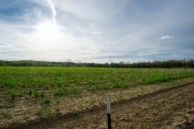 $124,020 | Vl B Vl B Dutch Rives Junction, Rives Junction, MI 49277