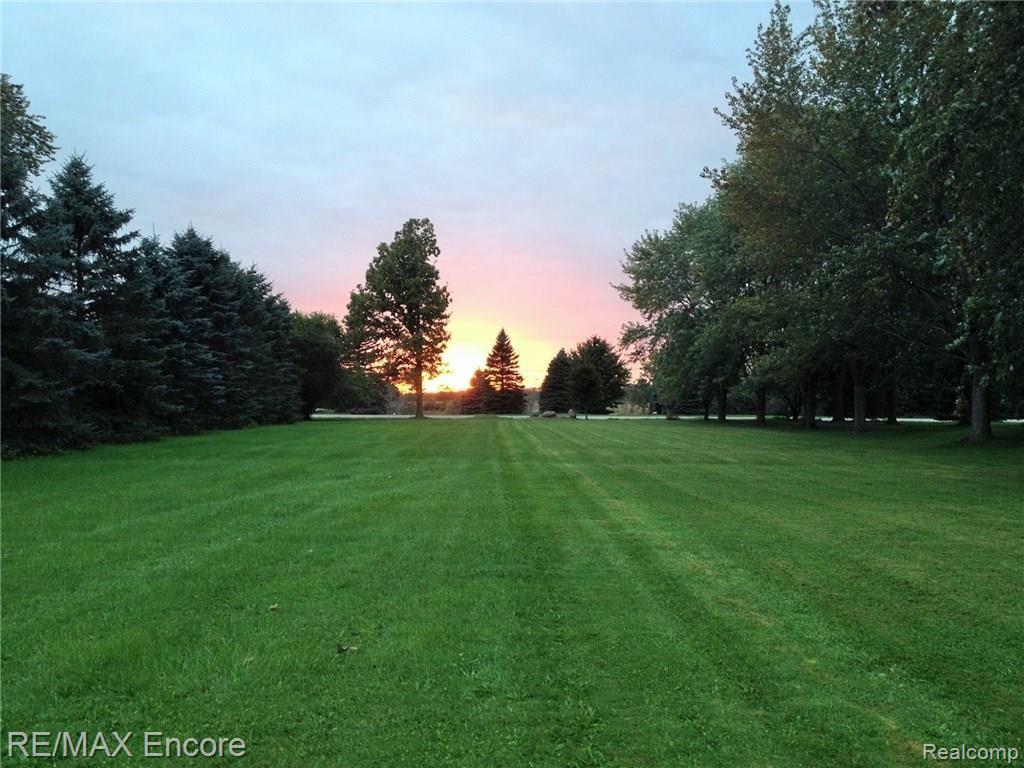 77610 Coon Creek Road Armada, MI 48005 - Photo 5 of 40 summer.jpg