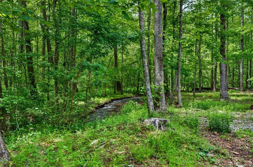 1 Thurmond Walker Road Dahlonega, GA 30533 - Photo 9 of 43