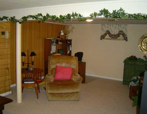 169 Ridgevue Road New Brighton, PA 15066 - Photo 6 of 8 Den/Family/Great Room.