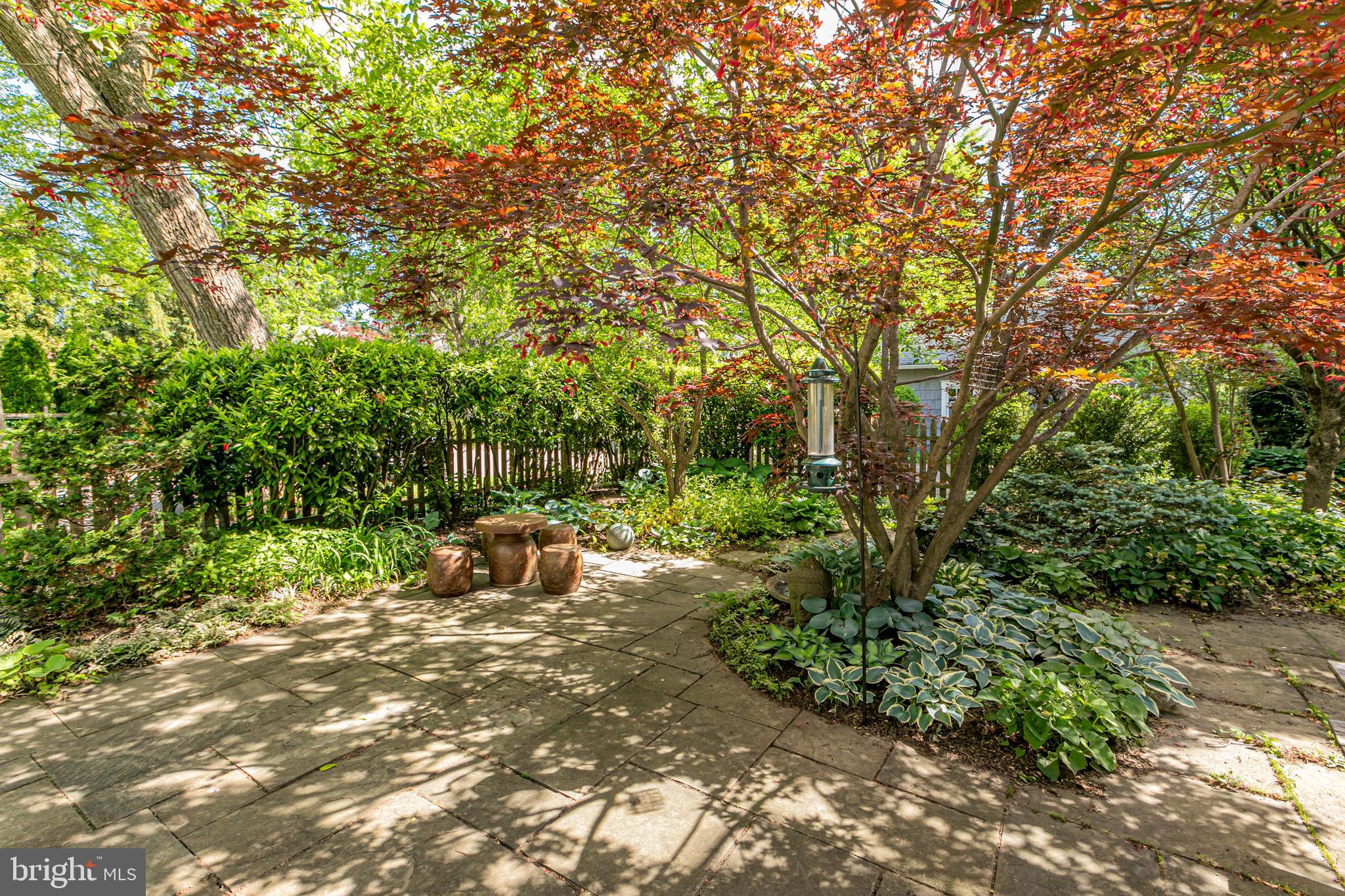 42 Markham Road Princeton, NJ 08540 - Photo 15 of 17 a view of a garden with trees