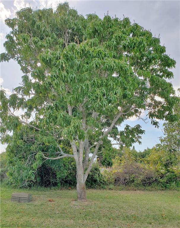 7490 Blackhawk Road, Unit 10 Micco, FL 32976 - Photo 10 of 32 Gallery Image 10