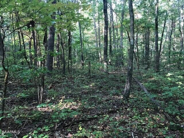 8 Mountain View Road Benton, TN 37307 - Photo 5 of 11