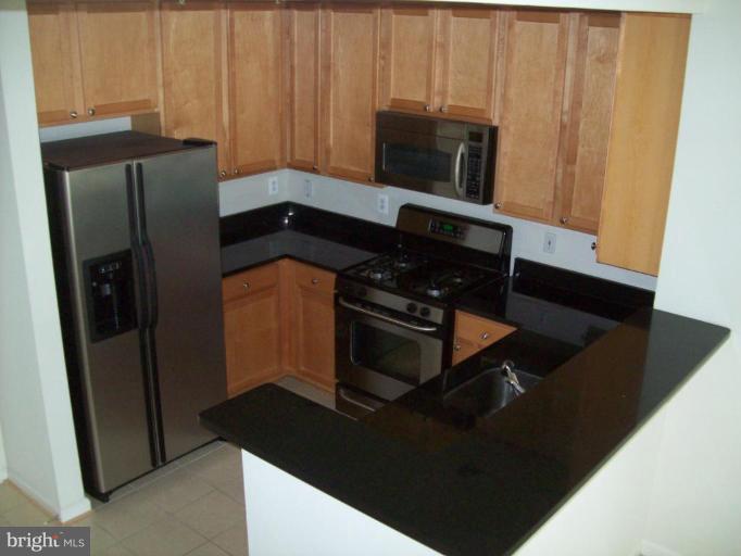 12000 Market Street, Unit 455 Reston, VA 20190 - Photo 2 of 11 Kitchen