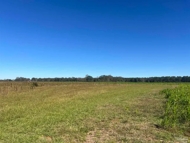 a view of an ocean and beach
