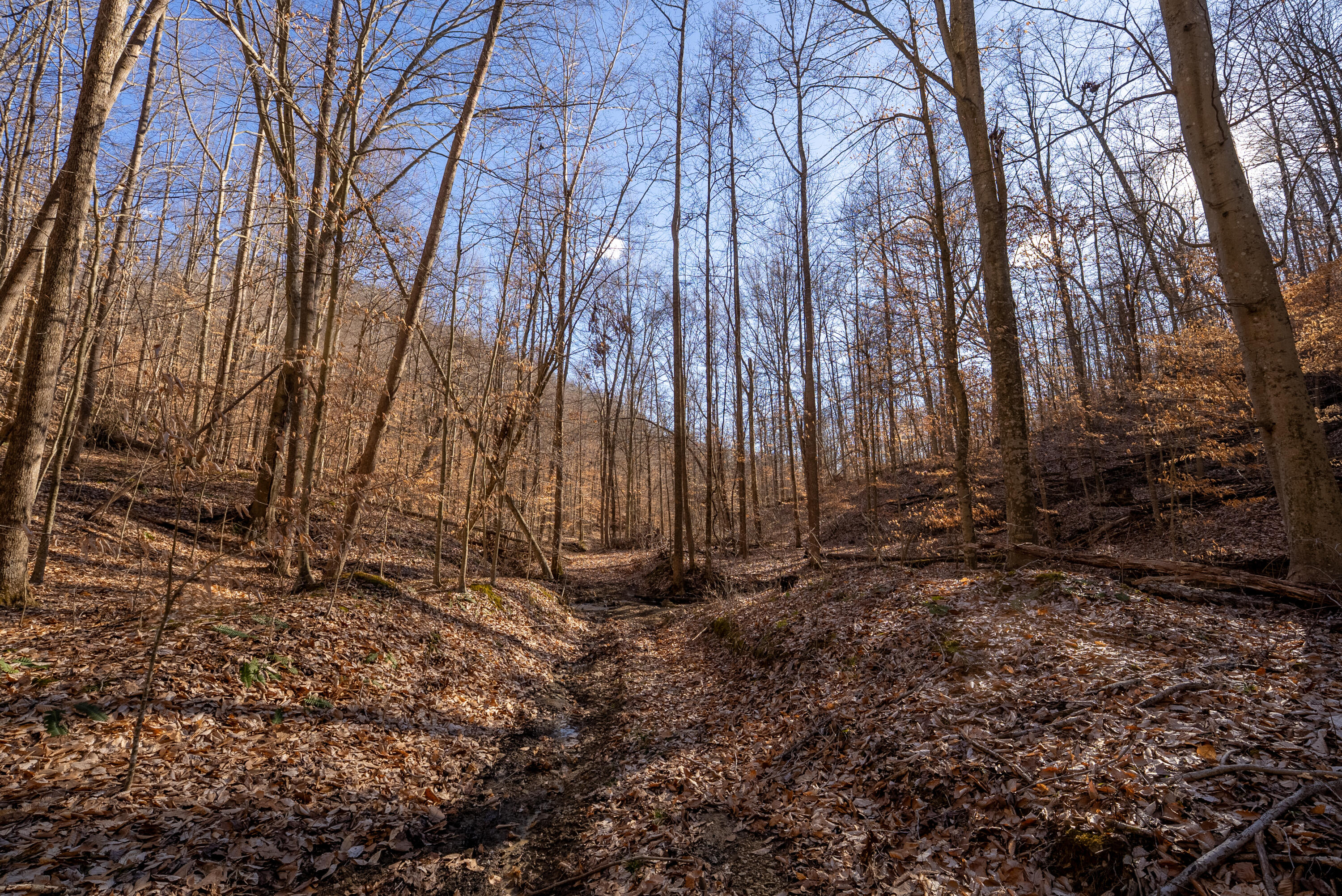 9999 North Bend Road Stanton, KY 40380 - Photo 27 of 84 027