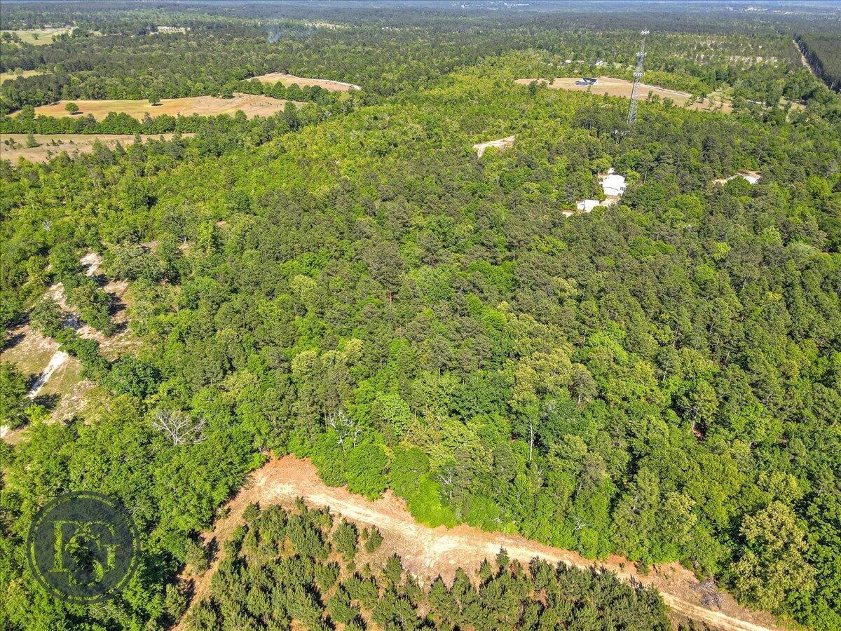 Lot 1 Whiskey Road Aiken, SC 29803 - Photo 7 of 15