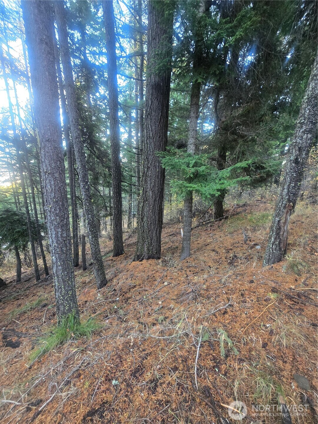 680 Horse Heaven Road Cle Elum, WA 98922 - Photo 2 of 11 a backyard of a house with lots of green space