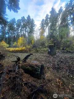 $135,000 | 680 Horse Heaven Road, Cle Elum, WA 98922