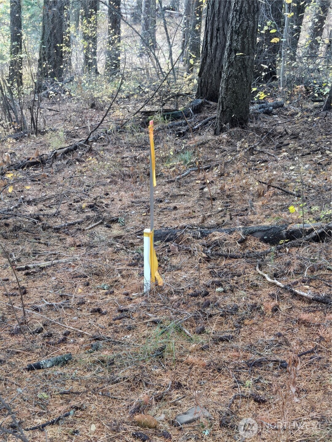 680 Horse Heaven Road Cle Elum, WA 98922 - Photo 4 of 11 a close up of a sink