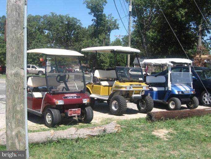 Forest Grove Road Colonial Beach, VA 22443 - Photo 20 of 27 Golf Cart Community