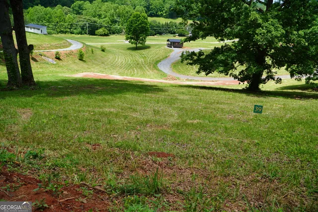 a view of a garden with an outdoor space