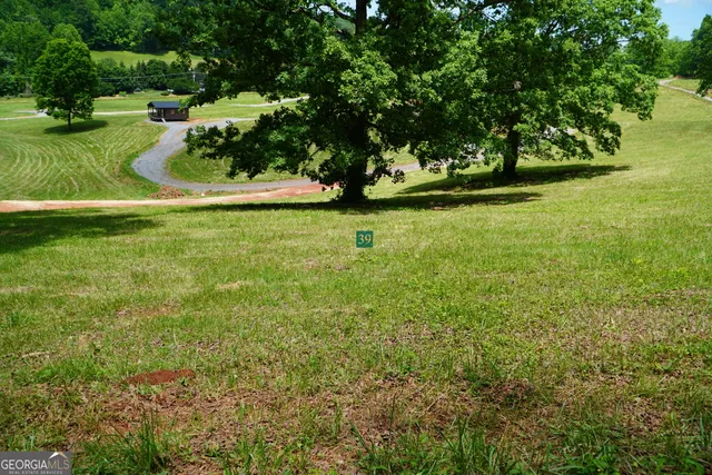 a view of yard with green space