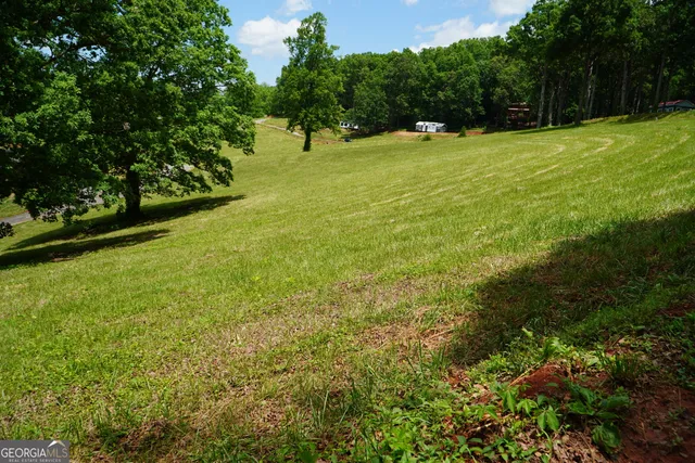 a view of yard with green space