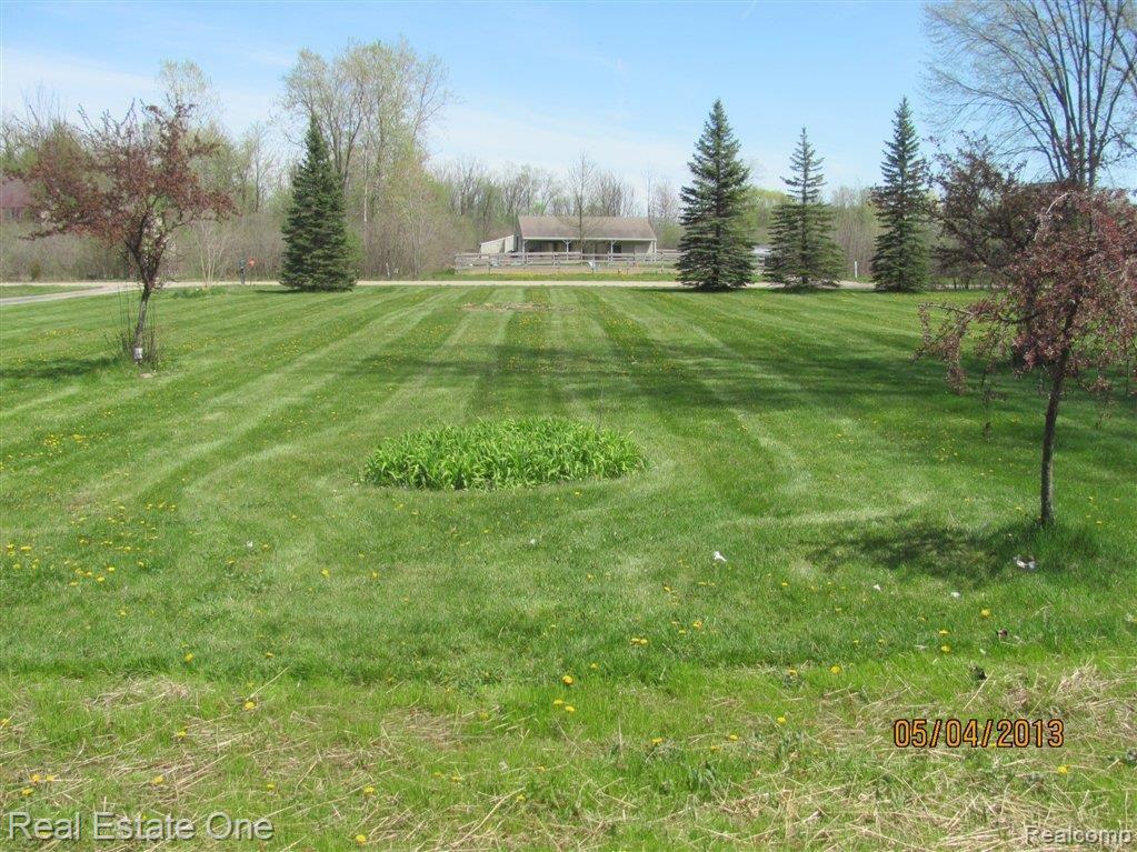 28796 Brandes Road Carleton, MI 48117 - Photo 8 of 20 Front yard from porch
