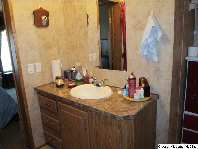 155 Stage Road Lincoln, AL 35096 - Photo 6 of 12