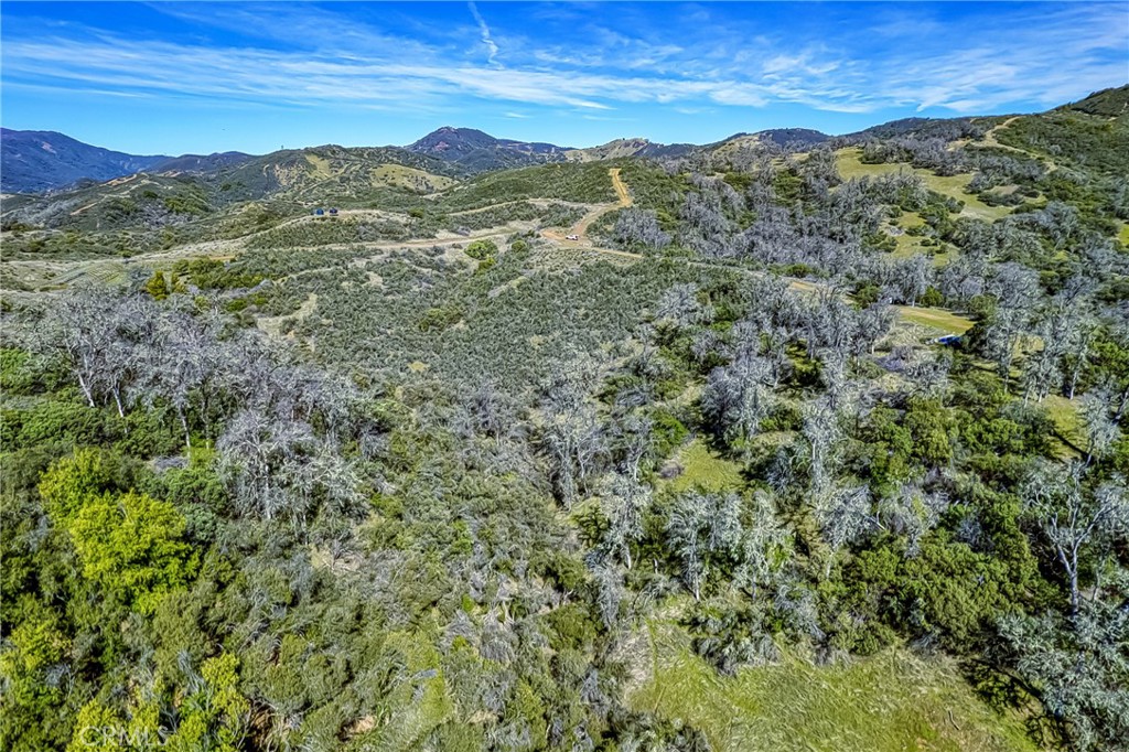 5553 Eickhoff Road Lakeport, CA 95453 - Photo 16 of 18 a view of a lush green forest with trees in the background