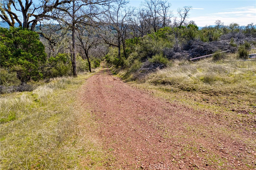 5553 Eickhoff Road Lakeport, CA 95453 - Photo 3 of 18 a view of a yard with plants and trees