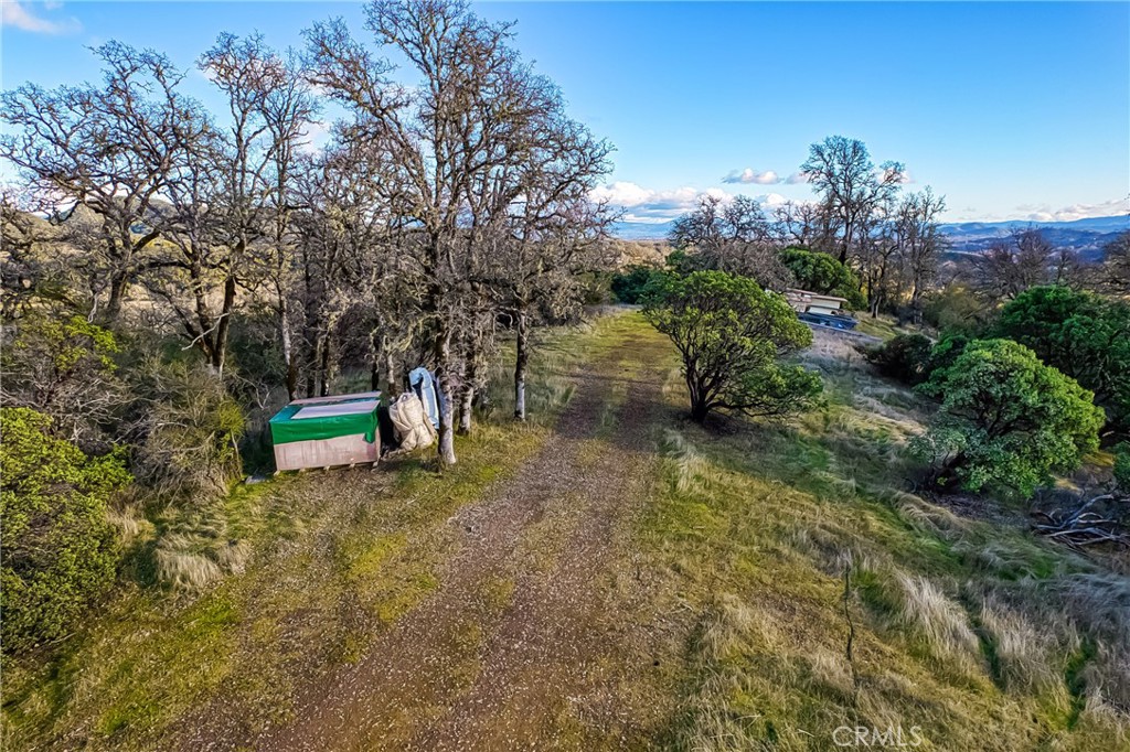 5553 Eickhoff Road Lakeport, CA 95453 - Photo 6 of 18 a backyard of a house with lots of green space