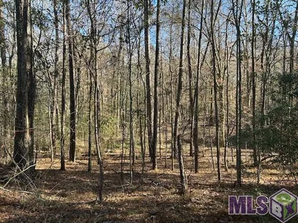 $100,000 | Lot 644 Fairlane Rd Street, St. Francisville, LA 70775