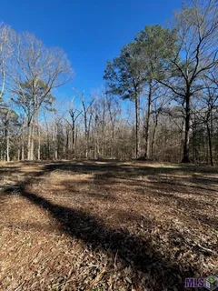 $100,000 | Lot 644 Fairlane Rd Street, St. Francisville, LA 70775