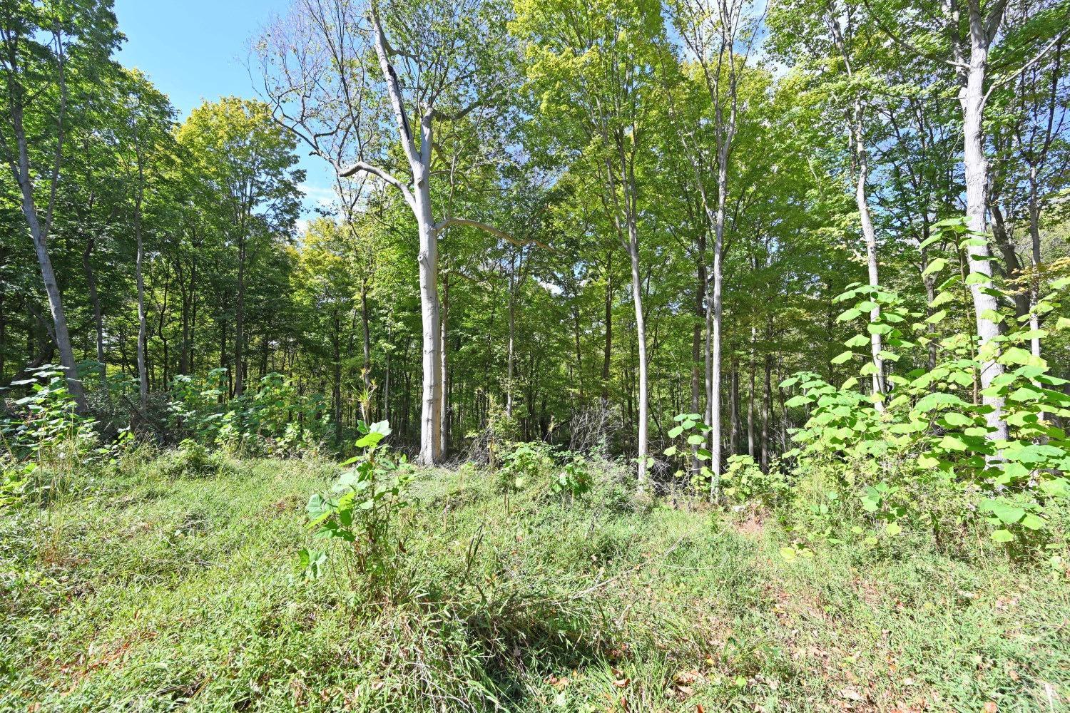 3301 Mt Carmel Road Cincinnati, OH 45244 - Photo 22 of 30