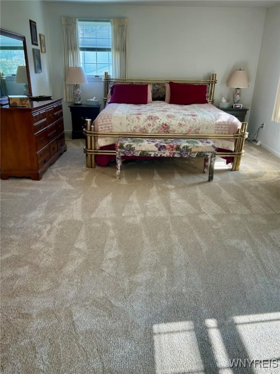 419 Dansworth Road Porter, NY 14174 - Photo 23 of 42