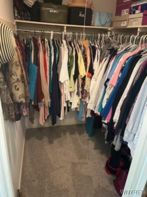 419 Dansworth Road Porter, NY 14174 - Photo 25 of 42