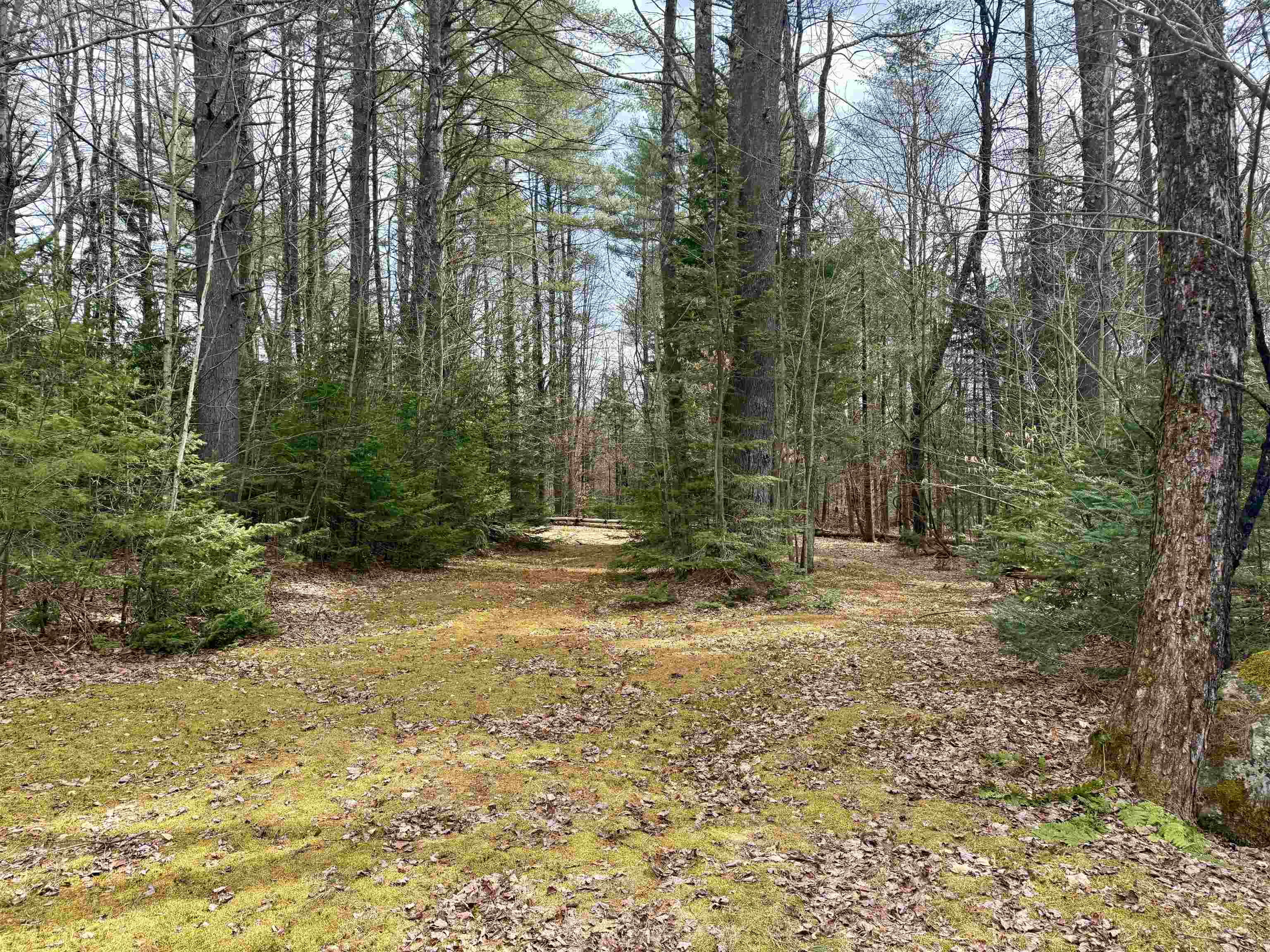 119 Old Tavern Road Weston, VT 05161 - Photo 5 of 28