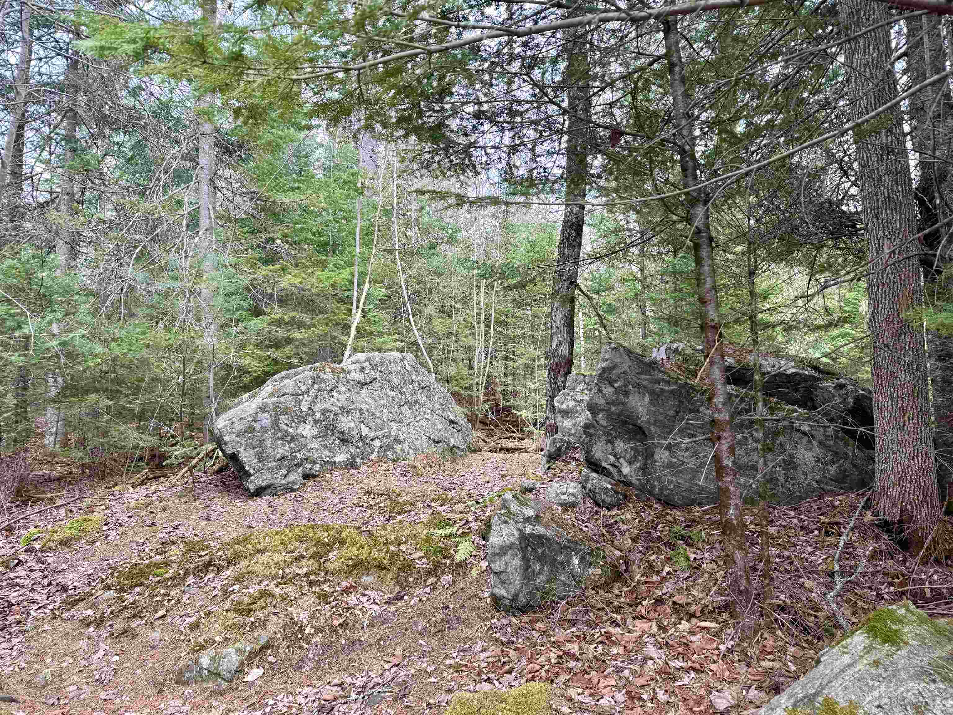 119 Old Tavern Road Weston, VT 05161 - Photo 6 of 28