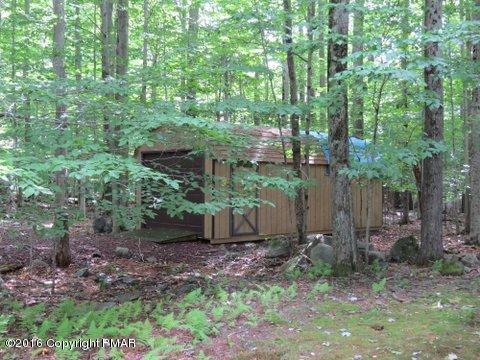 230 Selig Road Pocono Lake, PA 18347 - Photo 3 of 20 a backyard of a house with lots of green space and covered view