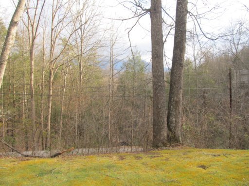 435 Bruce Road Gatlinburg, TN 37738 - Photo 12 of 12 Additional Photo