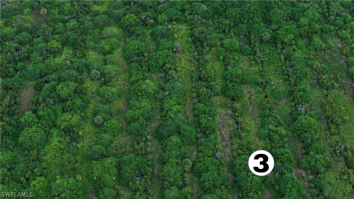 0 2nd Road LaBelle, FL 33935 - Photo 5 of 12