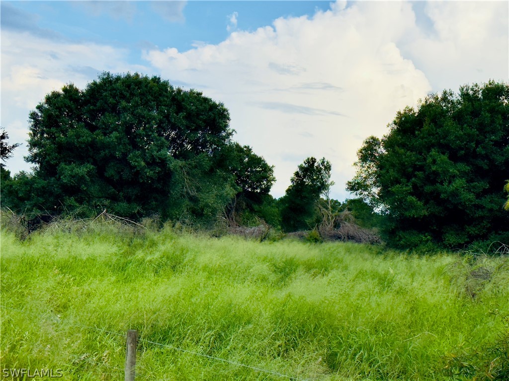 0 2nd Road LaBelle, FL 33935 - Photo 8 of 12