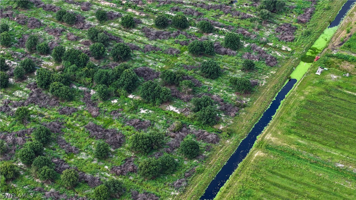 0 2nd Road LaBelle, FL 33935 - Photo 9 of 12