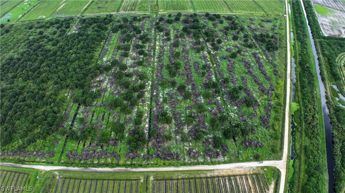 0 2nd Road LaBelle, FL 33935 - Photo 10 of 12