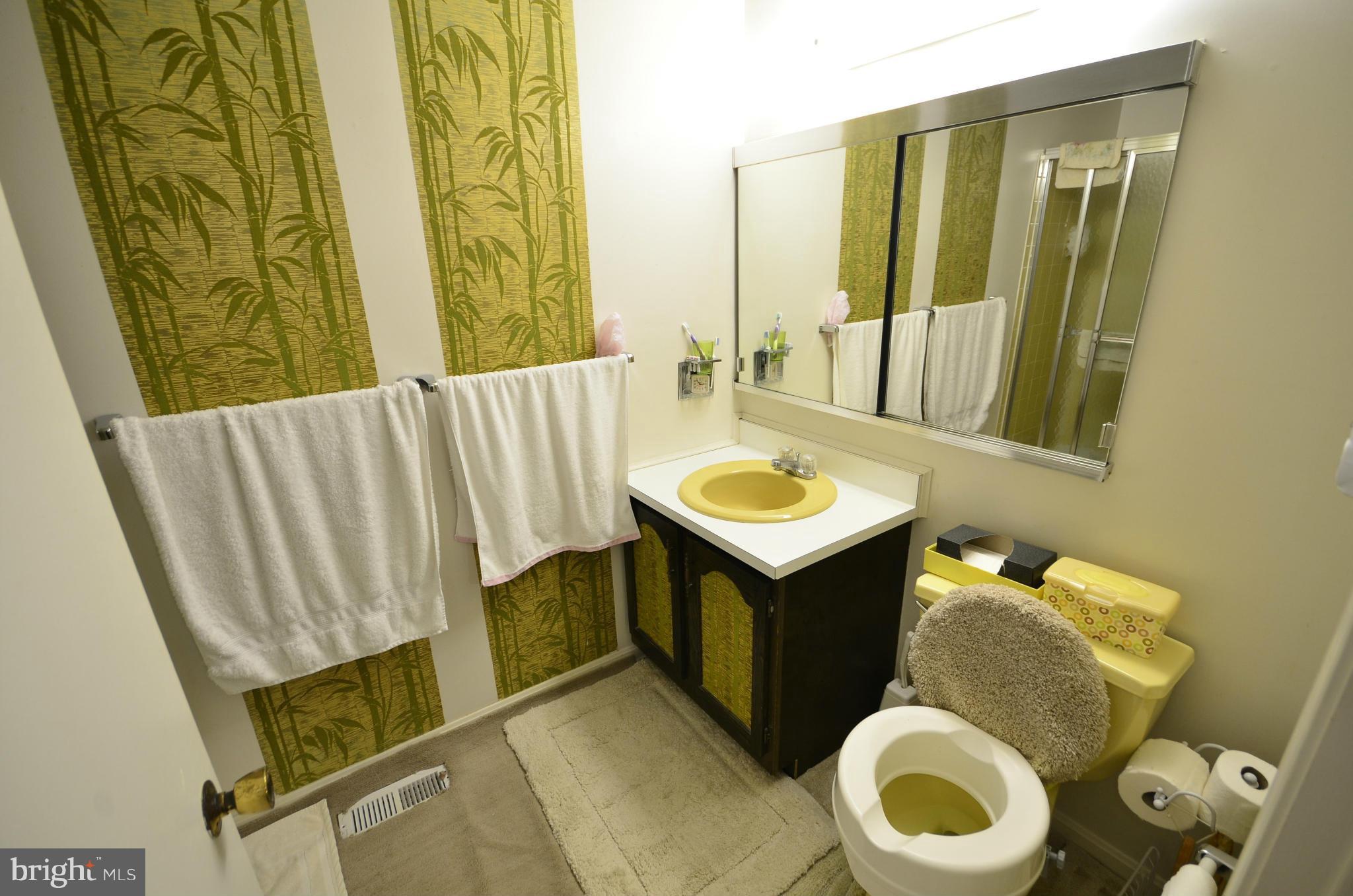3003 Bonview Lane Silver Spring, MD 20906 - Photo 20 of 30 Bath (Master)