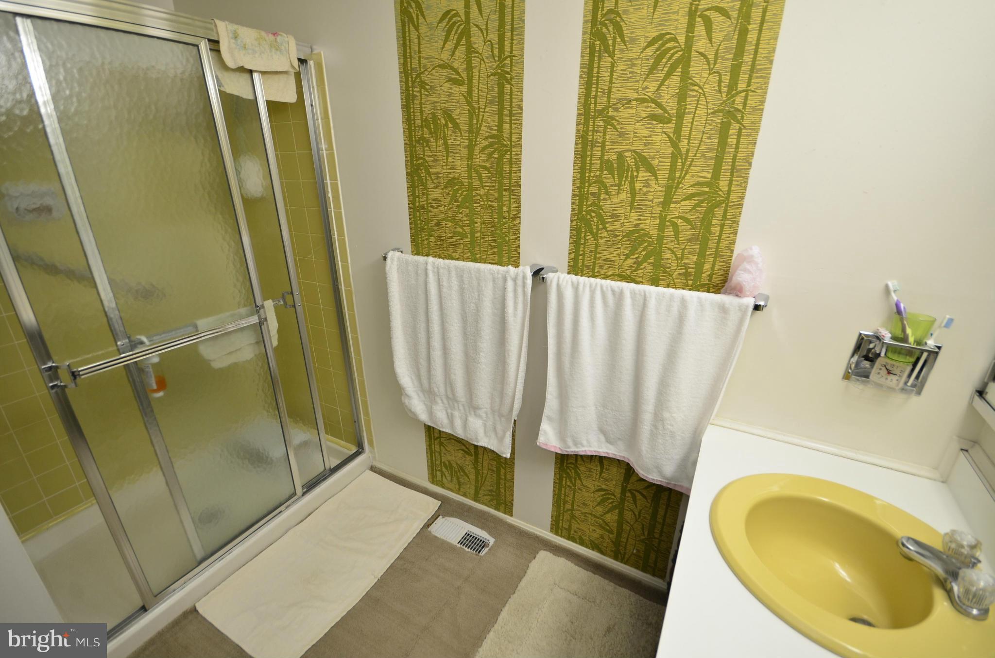 3003 Bonview Lane Silver Spring, MD 20906 - Photo 21 of 30 Bath (Master)