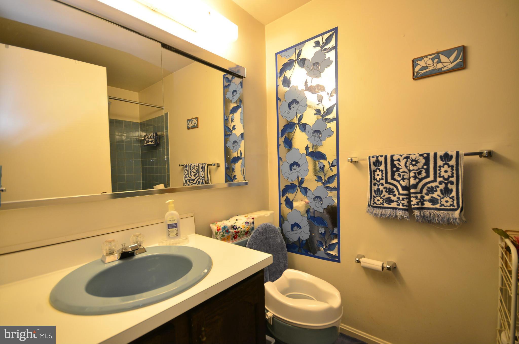 3003 Bonview Lane Silver Spring, MD 20906 - Photo 24 of 30 Hall Bath Up