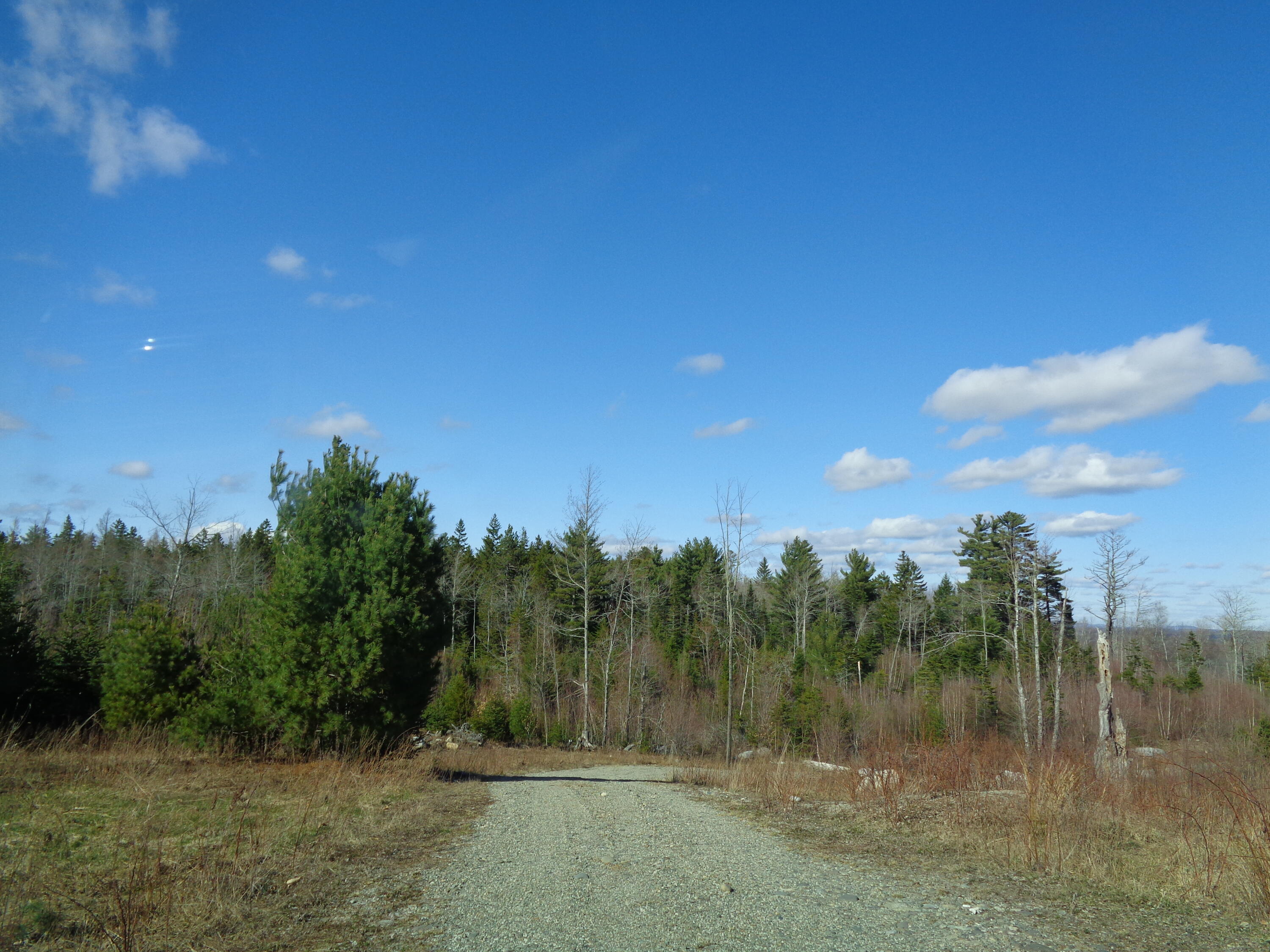 323 Moore Road Ellsworth, ME 04605 - Photo 2 of 28 Driveway