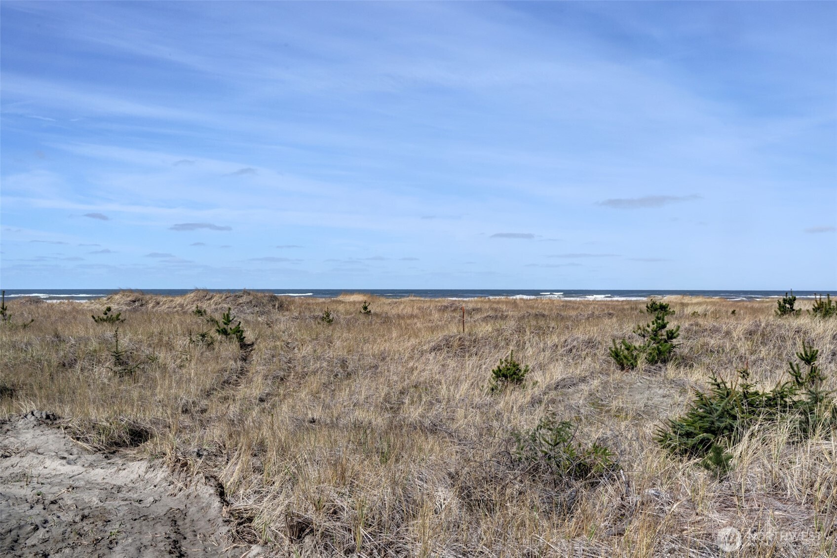 16151 Pacific Way Long Beach, WA 98631 - Photo 11 of 23 a view of a field with an outdoor space