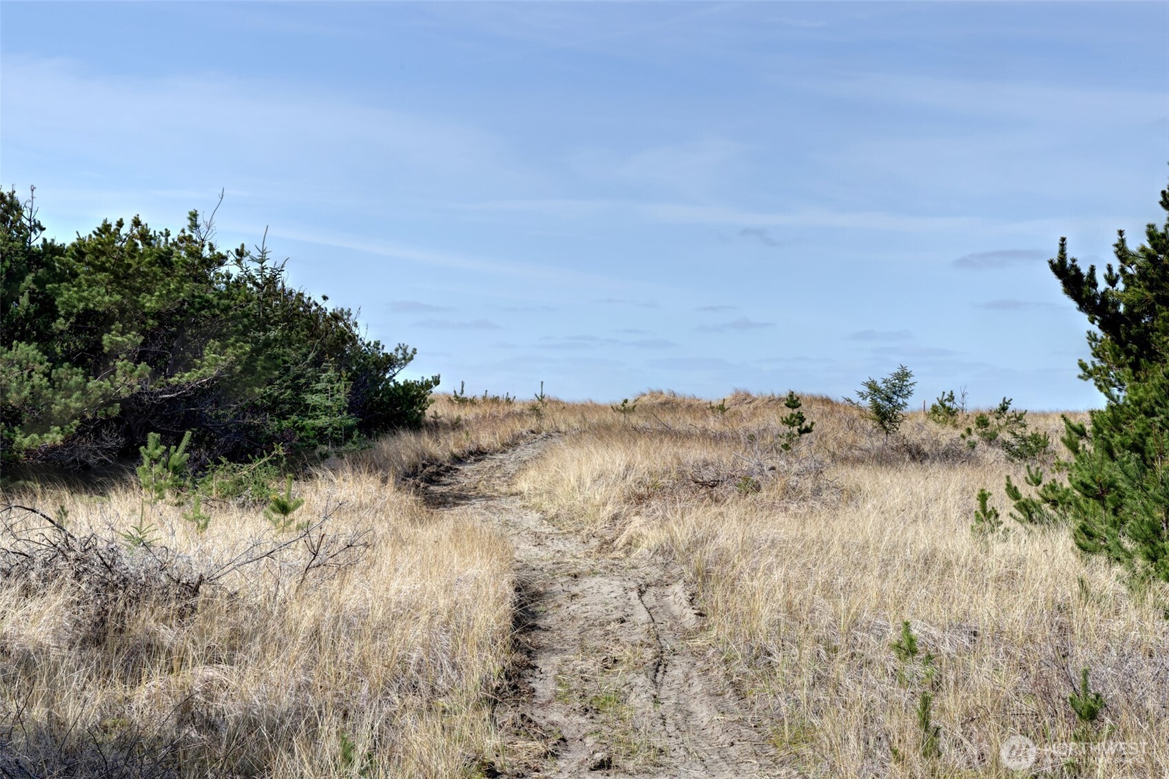 16151 Pacific Way Long Beach, WA 98631 - Photo 14 of 23 a view of a lake with a mountain in the background