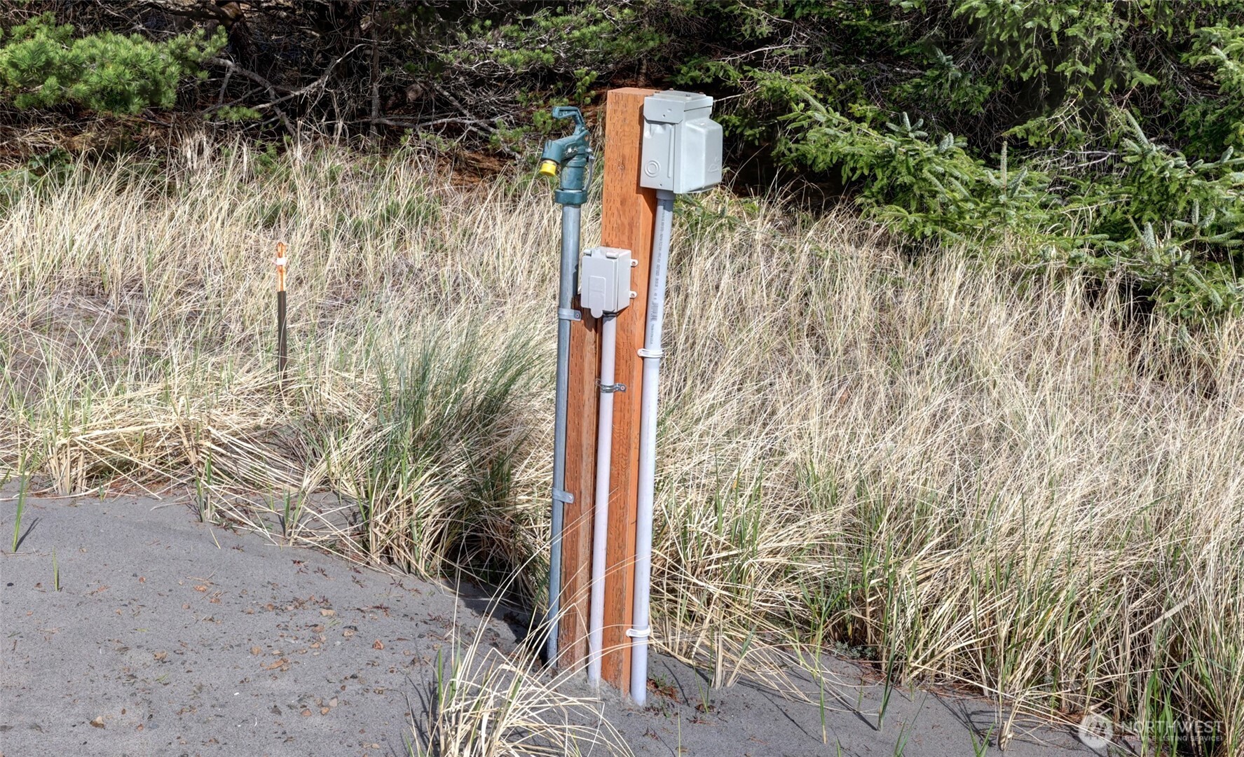 16151 Pacific Way Long Beach, WA 98631 - Photo 18 of 23 a backyard of a house with lots of green space