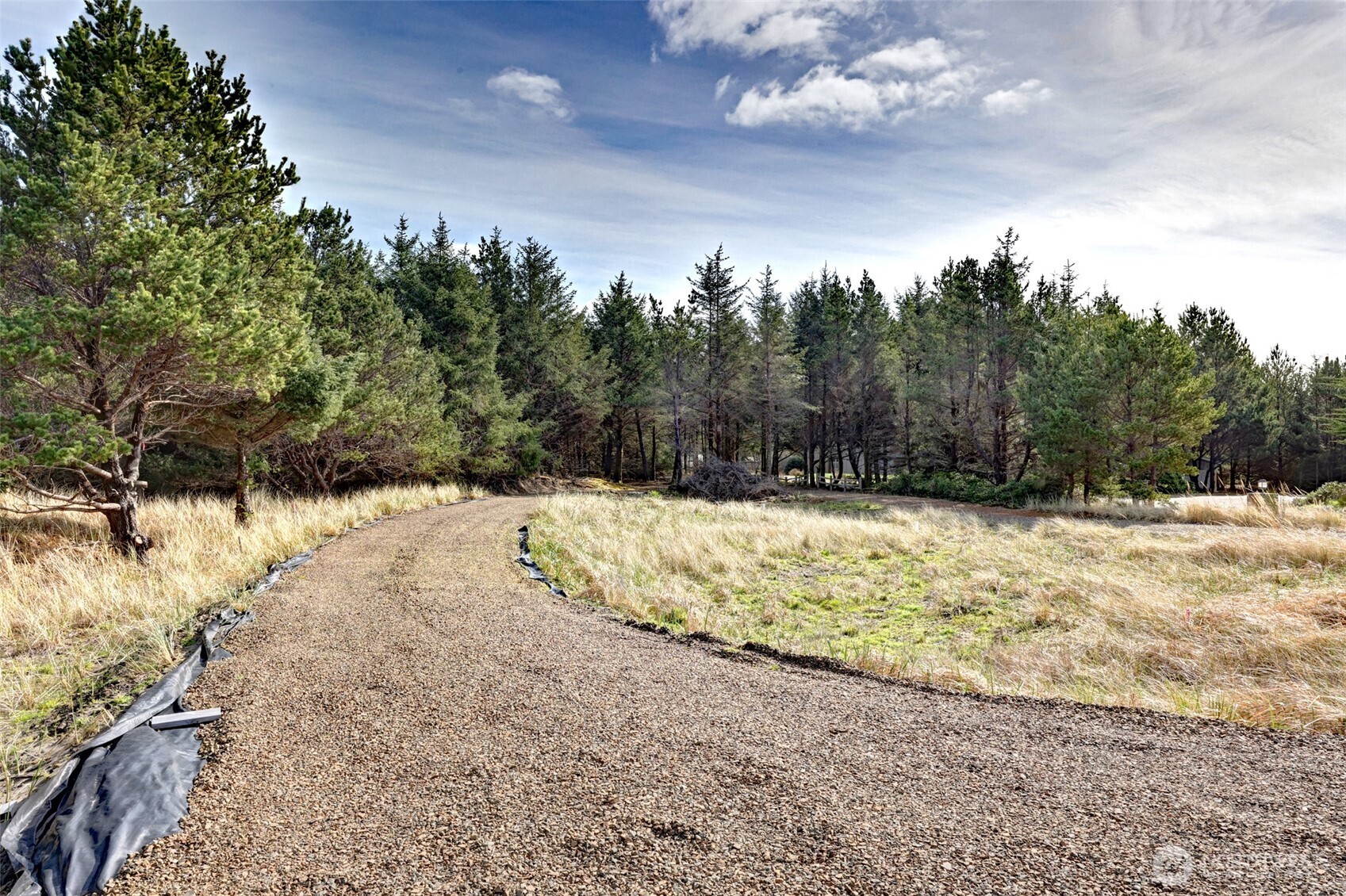16151 Pacific Way Long Beach, WA 98631 - Photo 20 of 23 a view of large yard with large trees