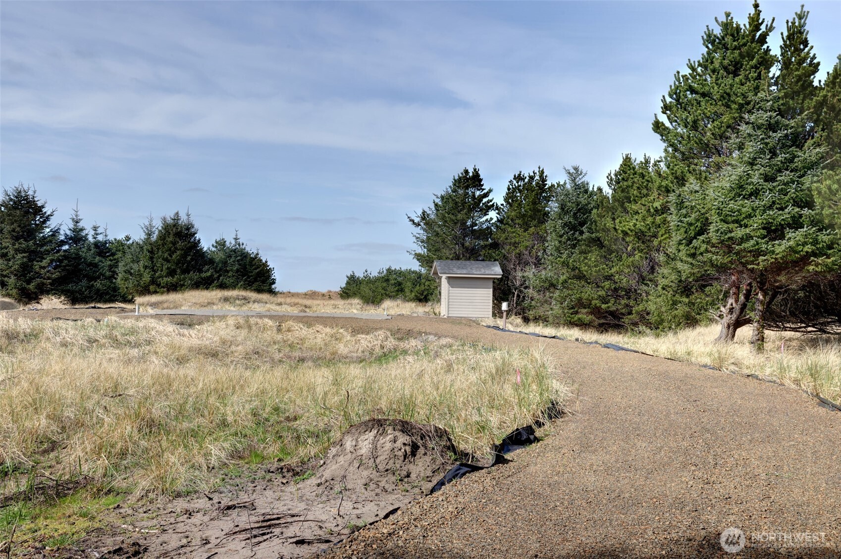 16151 Pacific Way Long Beach, WA 98631 - Photo 23 of 23 a backyard of a house with lots of green space
