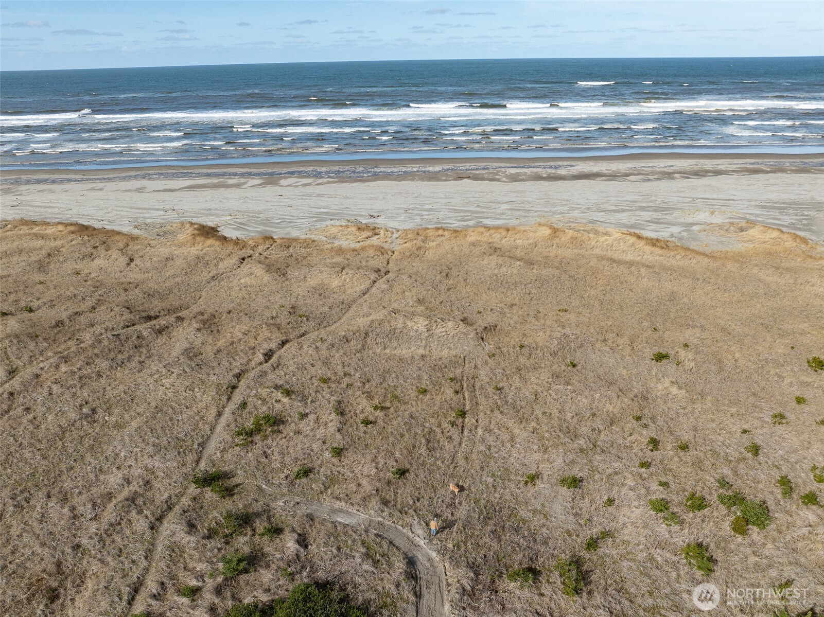 16151 Pacific Way Long Beach, WA 98631 - Photo 5 of 23 a view of beach with an ocean view