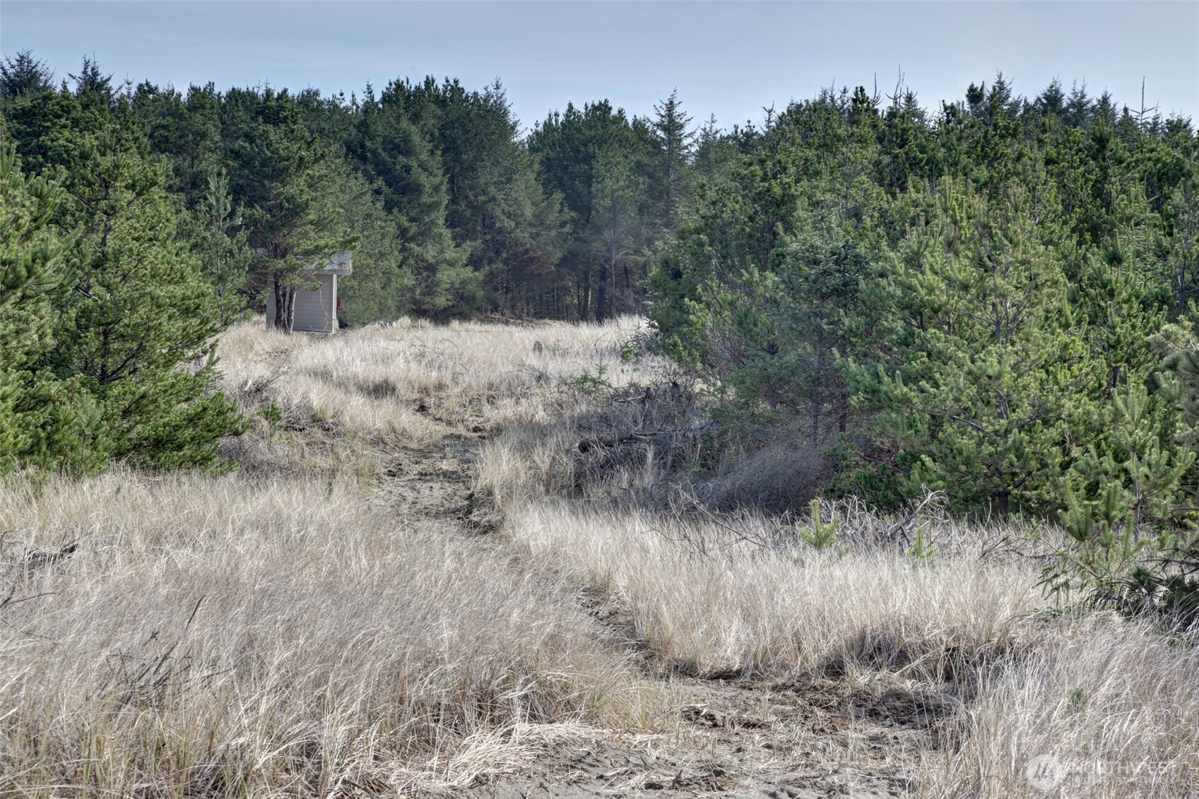 16151 Pacific Way Long Beach, WA 98631 - Photo 8 of 23